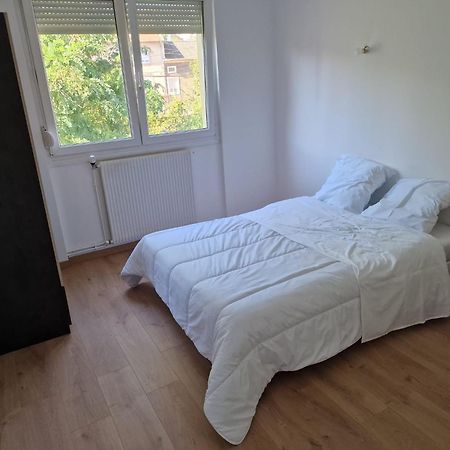 Location Appartement 80M2 A Rombas Экстерьер фото